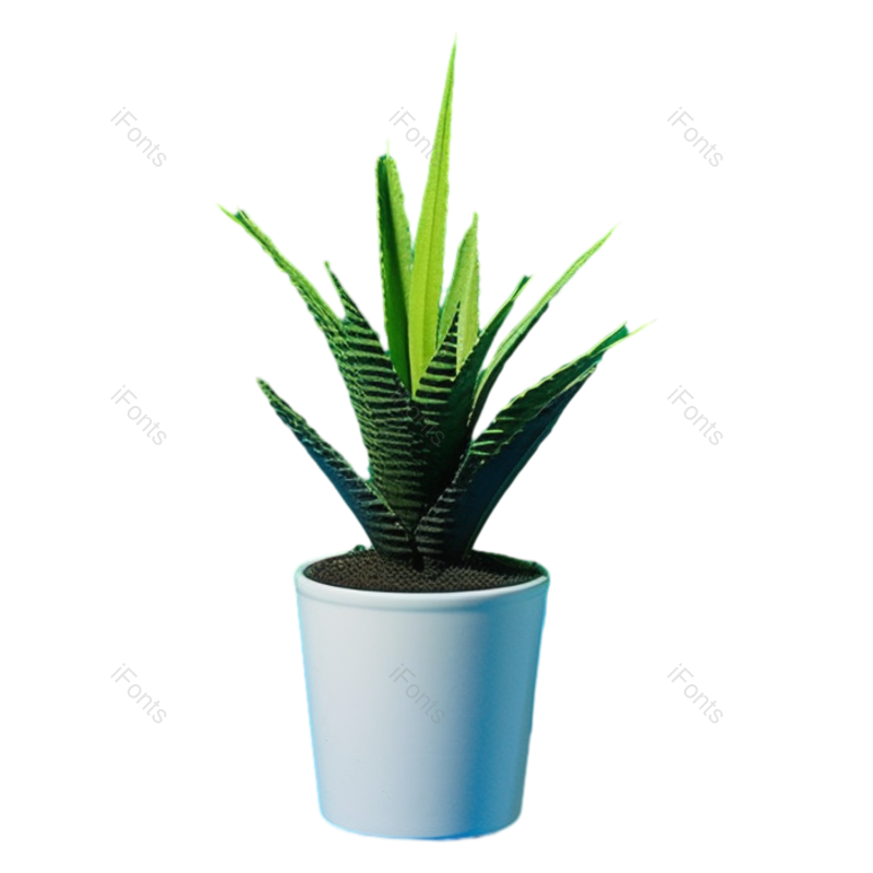 形状图片,商品元素,摄影PNG,花盆免抠素材